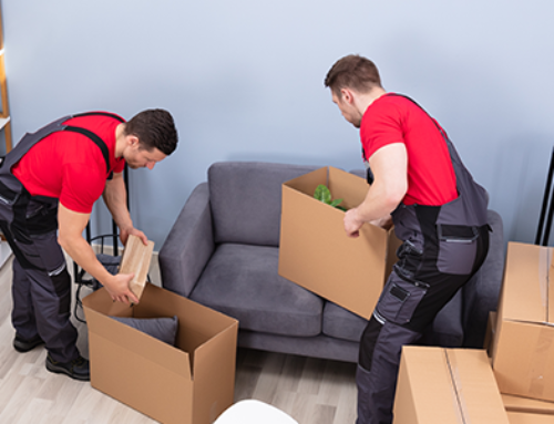The 8 Best Movers in Hawaii